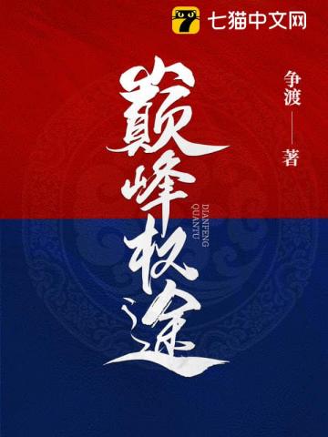 巅峰权途